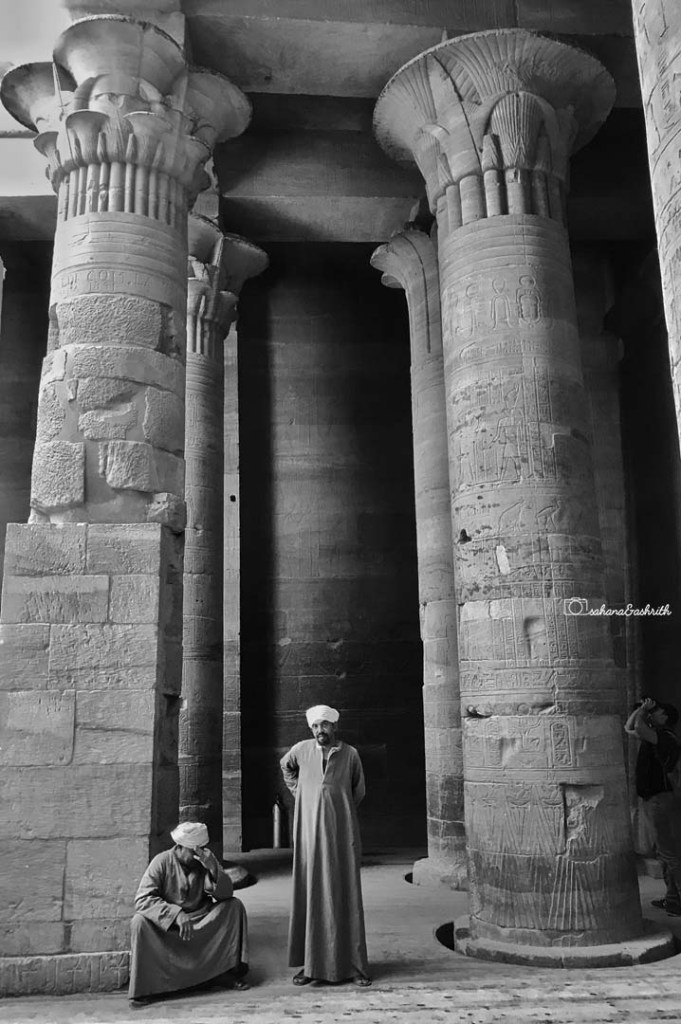 Egyptian tall columns with flower nud capital and men in Jalebiya