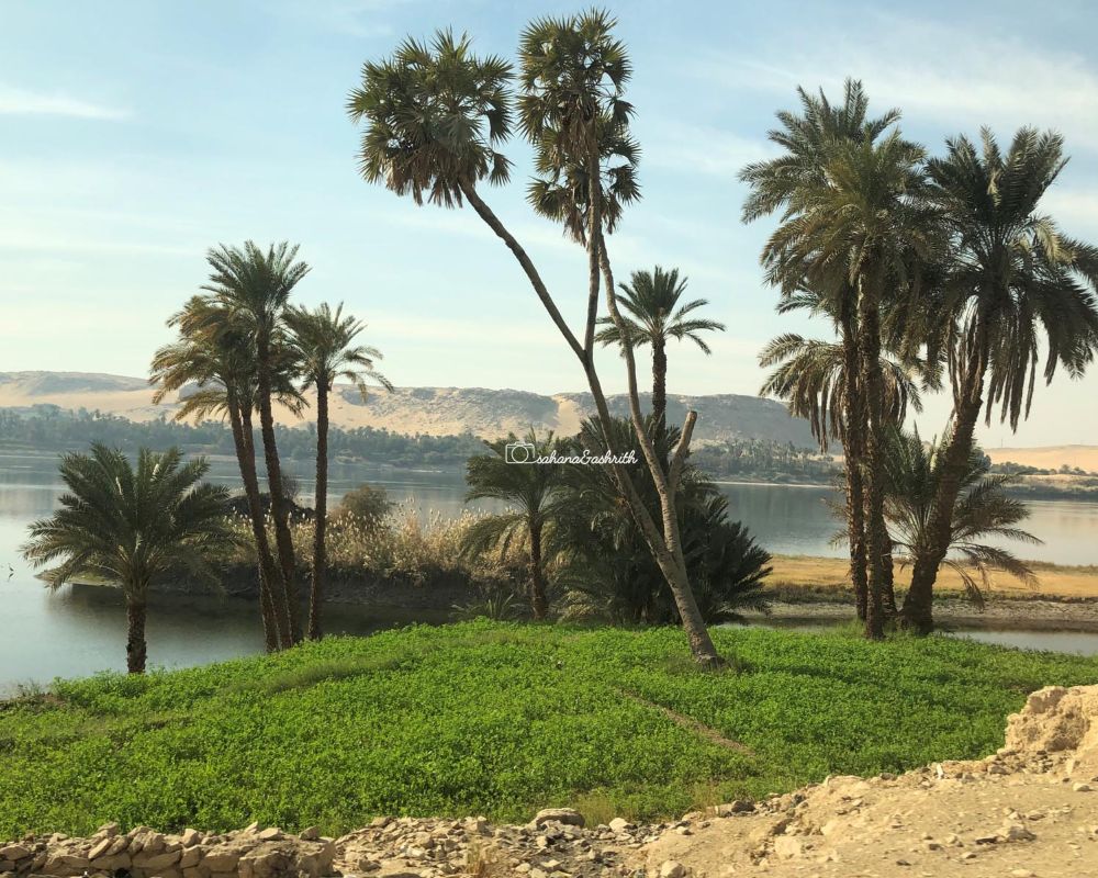 Nile river bank with fertile green land