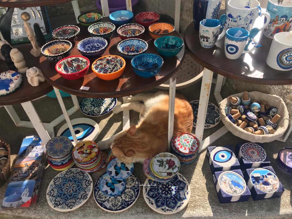 Collection of colourful ceramic bowls on display with real cats sleeping between two set of displays