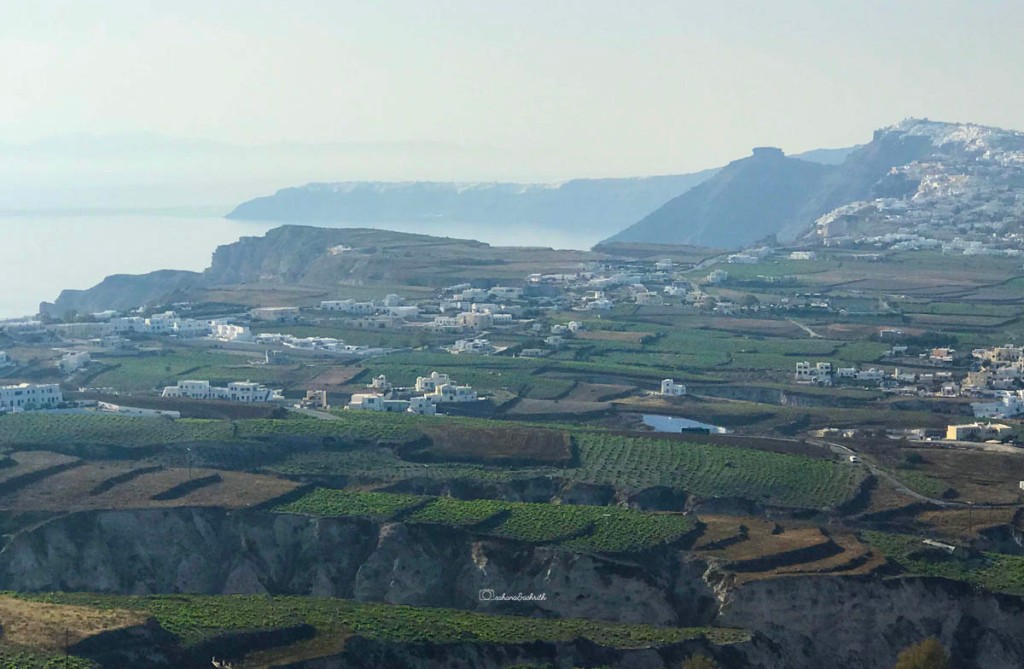 Before sunset time sea water turning silver beside the terraced farms of tomato and vineyards at Pyrgos
