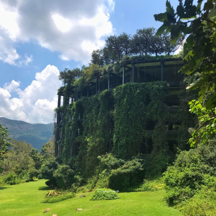 Geoffrey Bawa's famous building Heritance Kandalama with creepers on the building facade and mountains in the background - Luxury resors in Sri Lanka