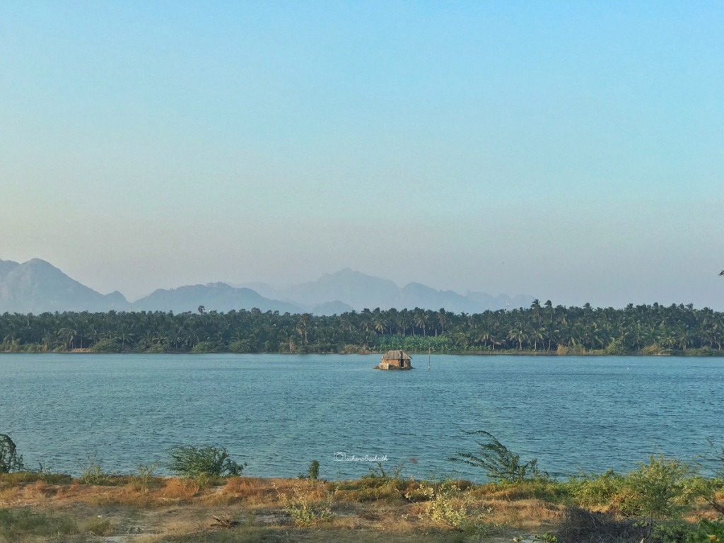 One hut in the middle of a lake surrounded by coconut farm in India
