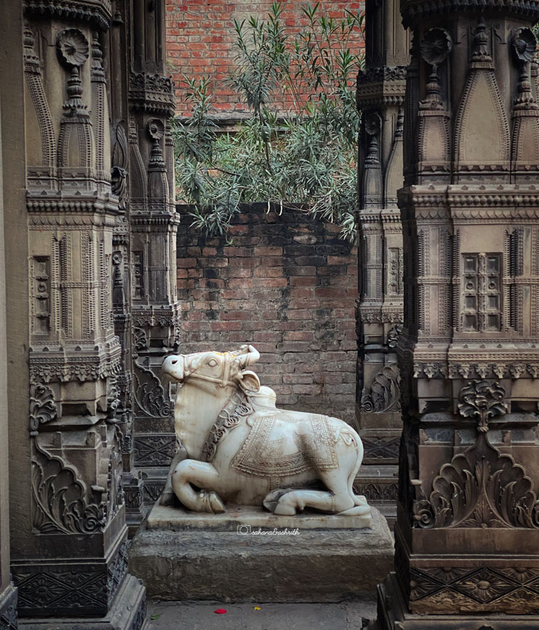 Beige sand stone temple with carved pillars and white Marble Nandi at the door at Banaras