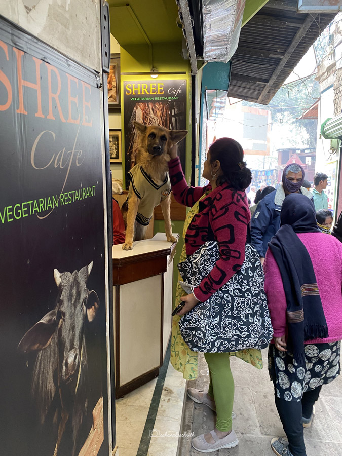 Petfriendly restaurants in India