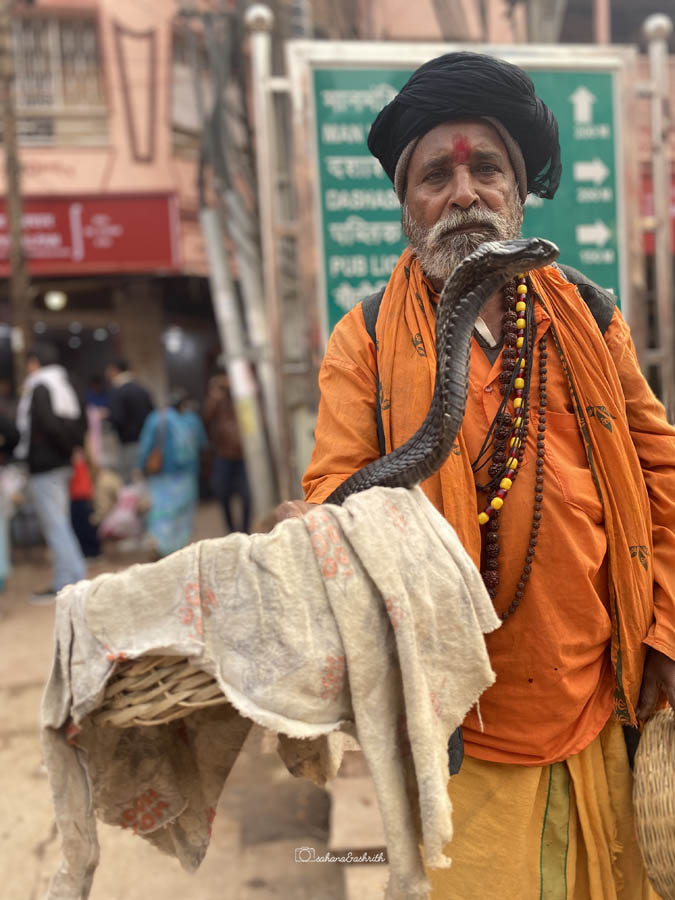 Snake charmer in Varanasi with black snake
