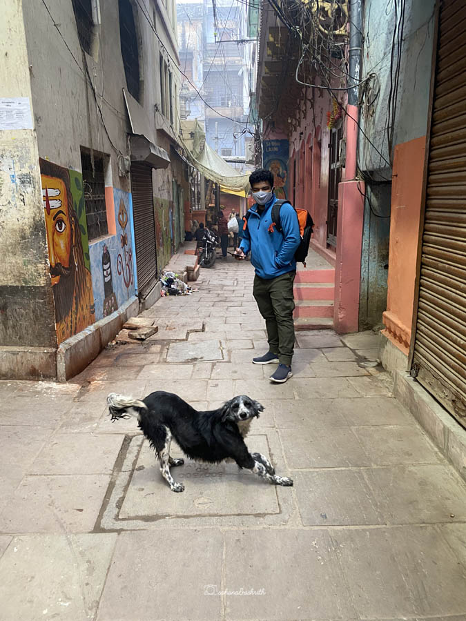 Varanasi streets are pet friendly