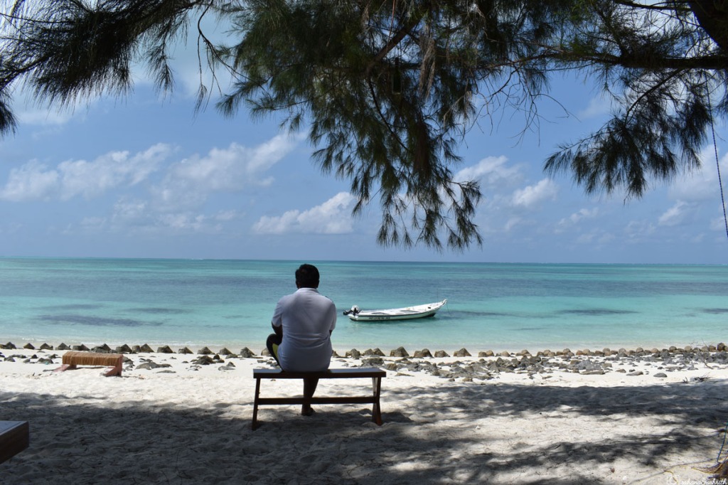 Man sitting on bench at the beach watching turquoise green water